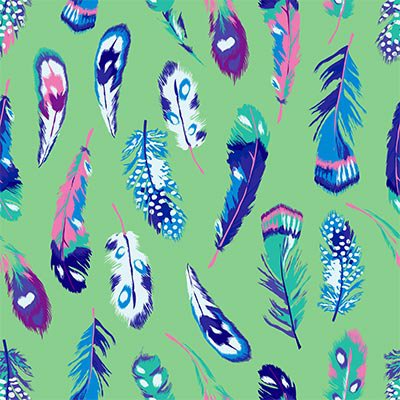 Colorful feathers