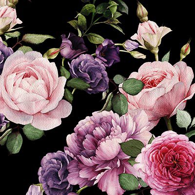Peonies on black