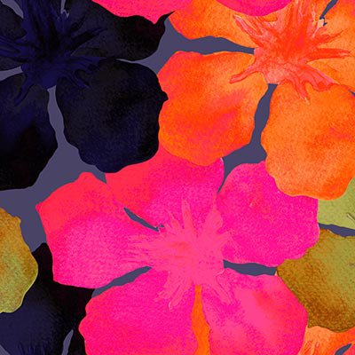 Flowers on purple