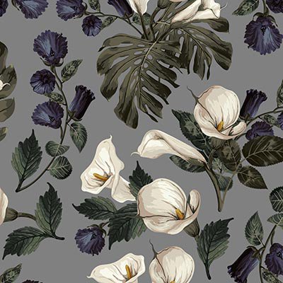 Calla Lily on gray