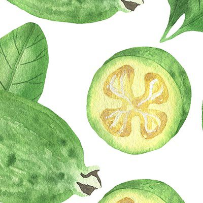 Feijoa with leaves