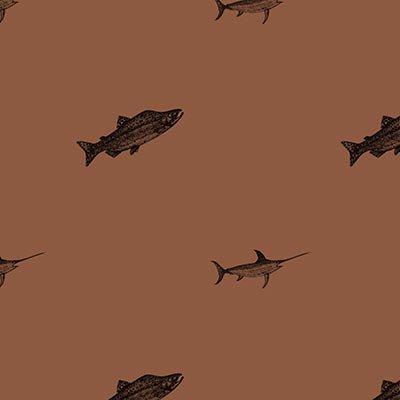 Fish on brown