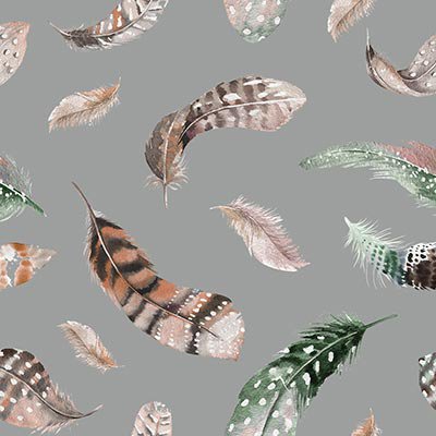 Feathers on gray