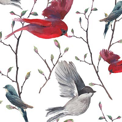 Birds and branches