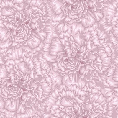 Pink carnations