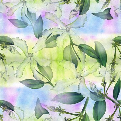 Blooming flower vines