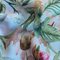 Viscose Twill Eco 154gsm image 1